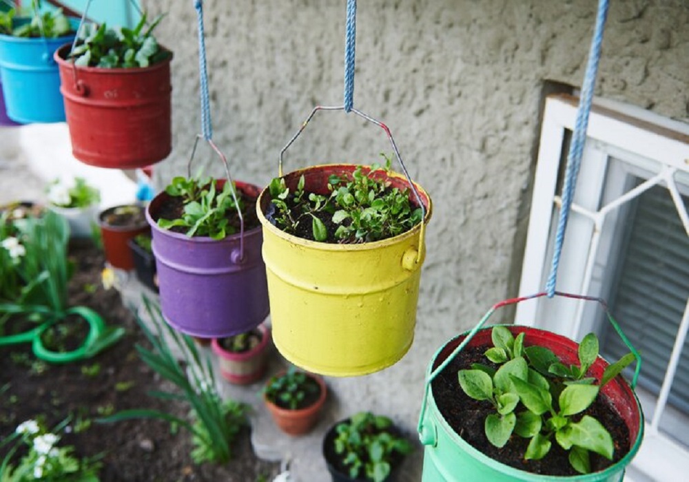 container gardening ideas for small spaces