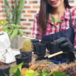 home gardening tips for beginners