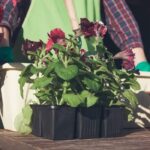 container gardening ideas for small spaces