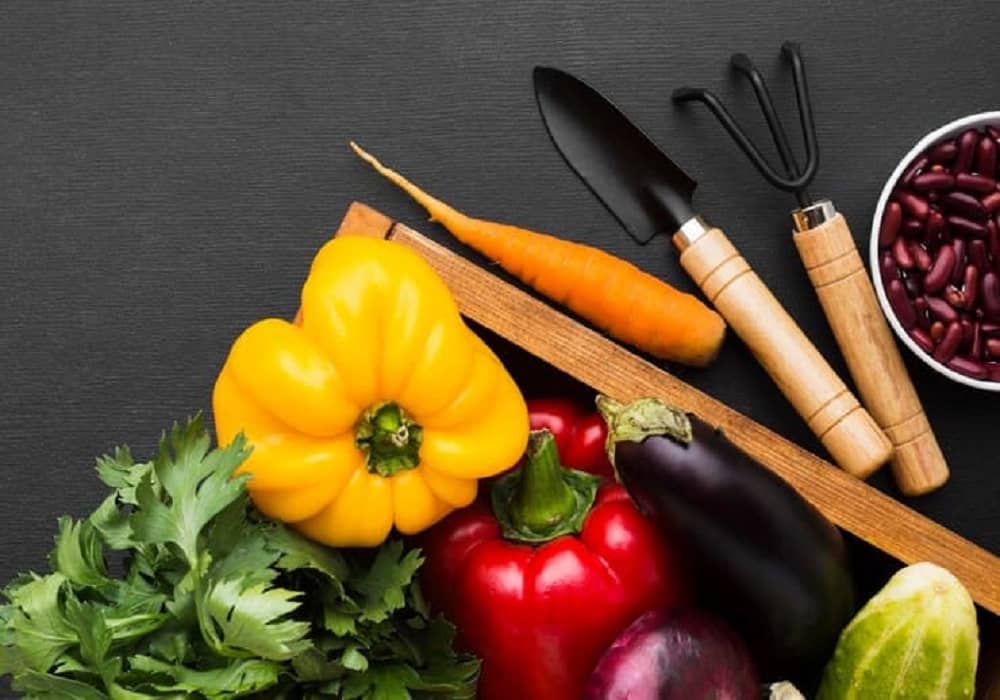 kitchen garden vegetables in india