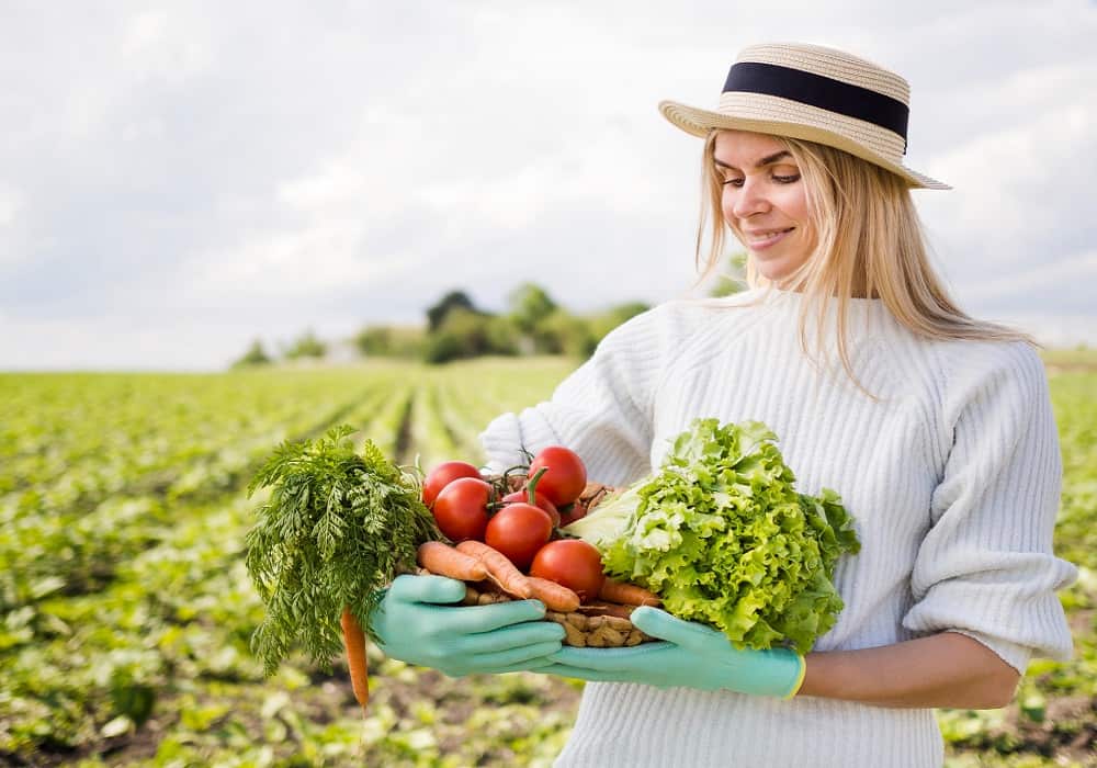 easy to grow vegetables at home india