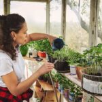 home gardening tips for beginners