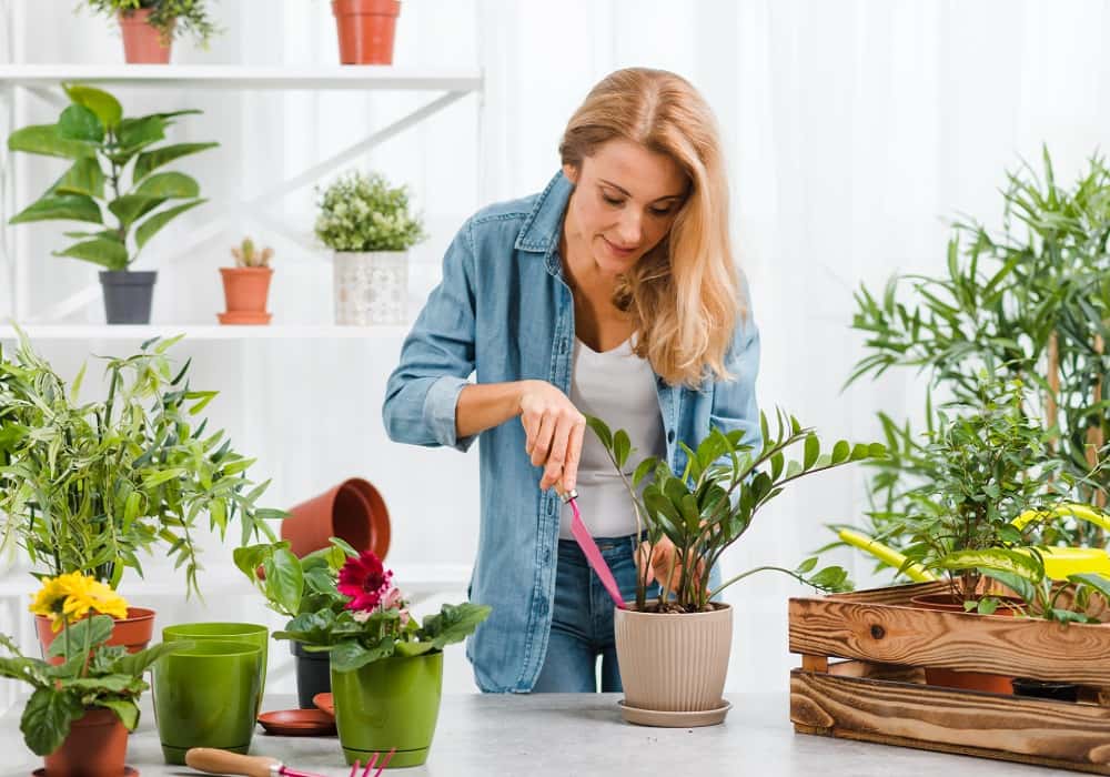 tips for gardening at home