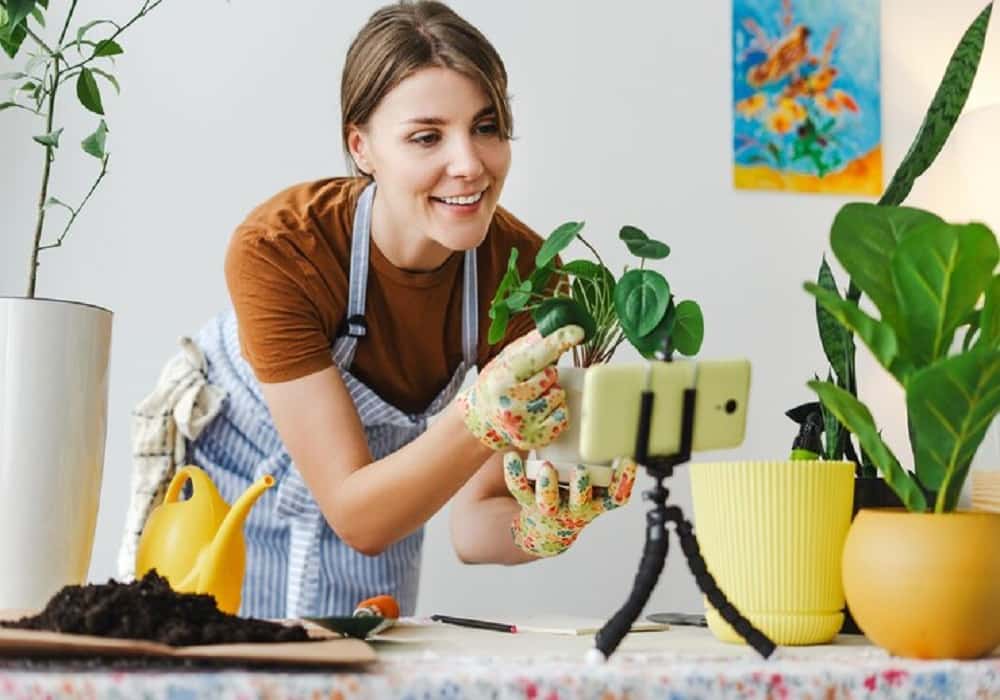 home gardening tips for beginners