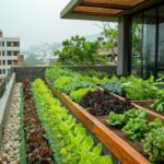 terrace vegetable garden ideas in india